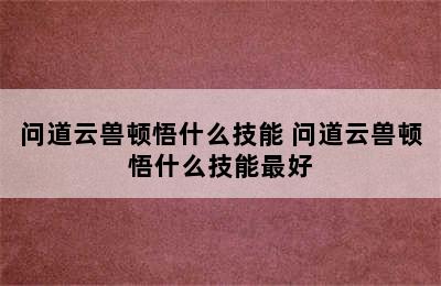 问道云兽顿悟什么技能 问道云兽顿悟什么技能最好